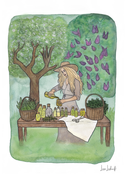 Hyldemors forårsurter