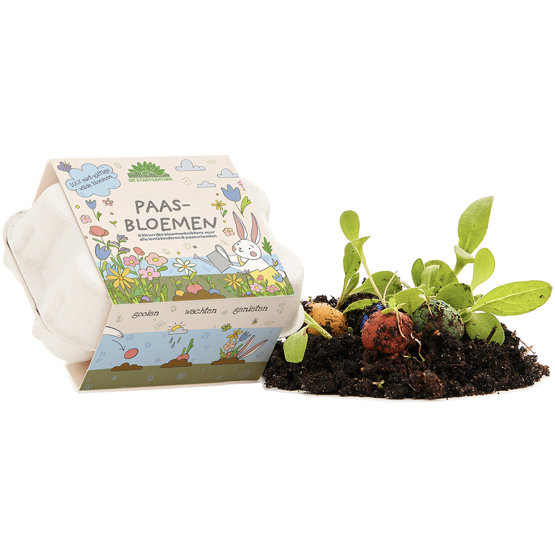 Påske Blomsteræg – Frøbomber i æggebakke