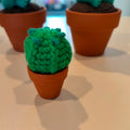 Hæklet kaktus i lerpotte – en grøn plante uden pasning