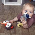 Naturlig bidering - sød vaskebjørn