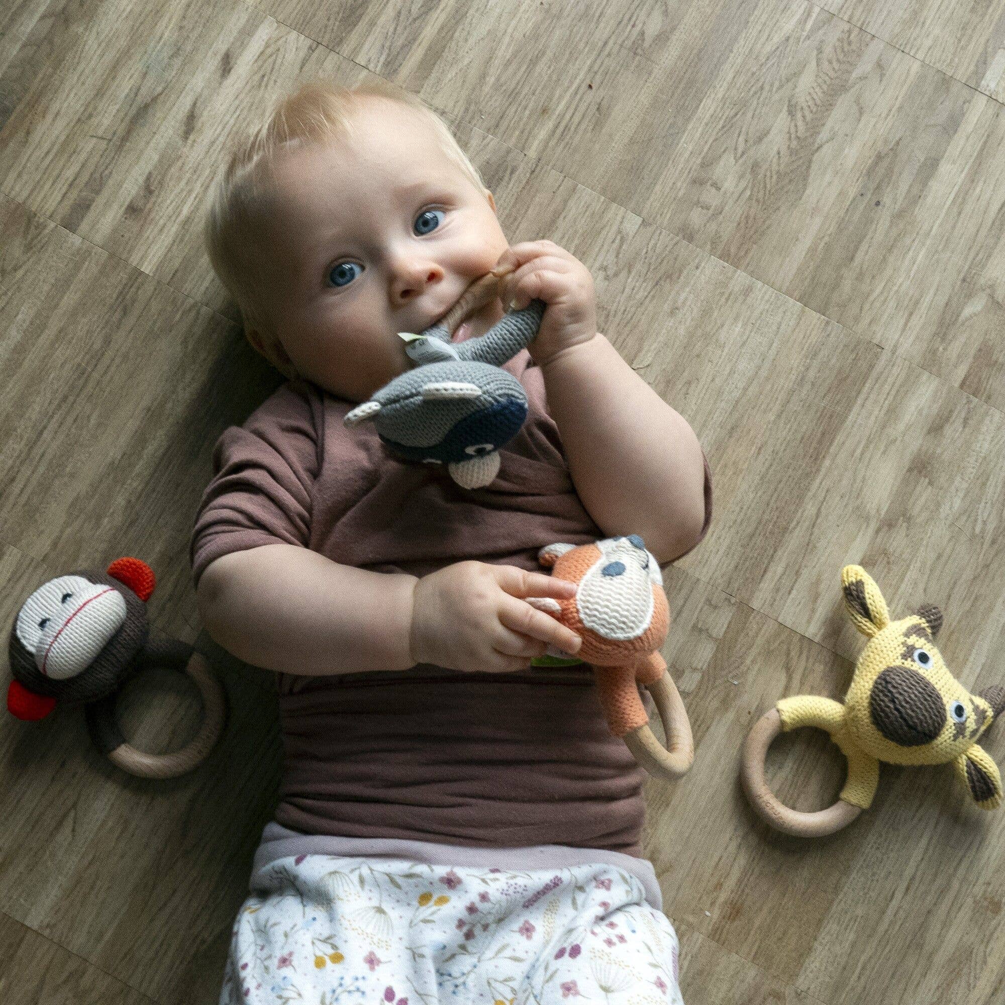 Naturlig bidering - sød ræv