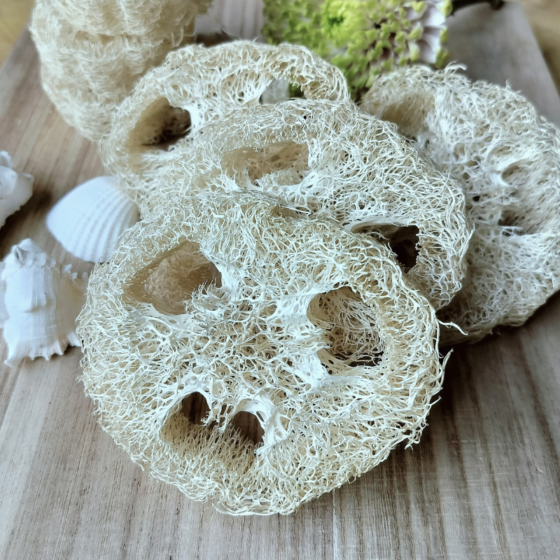 Loofah svamp, flere størrelser