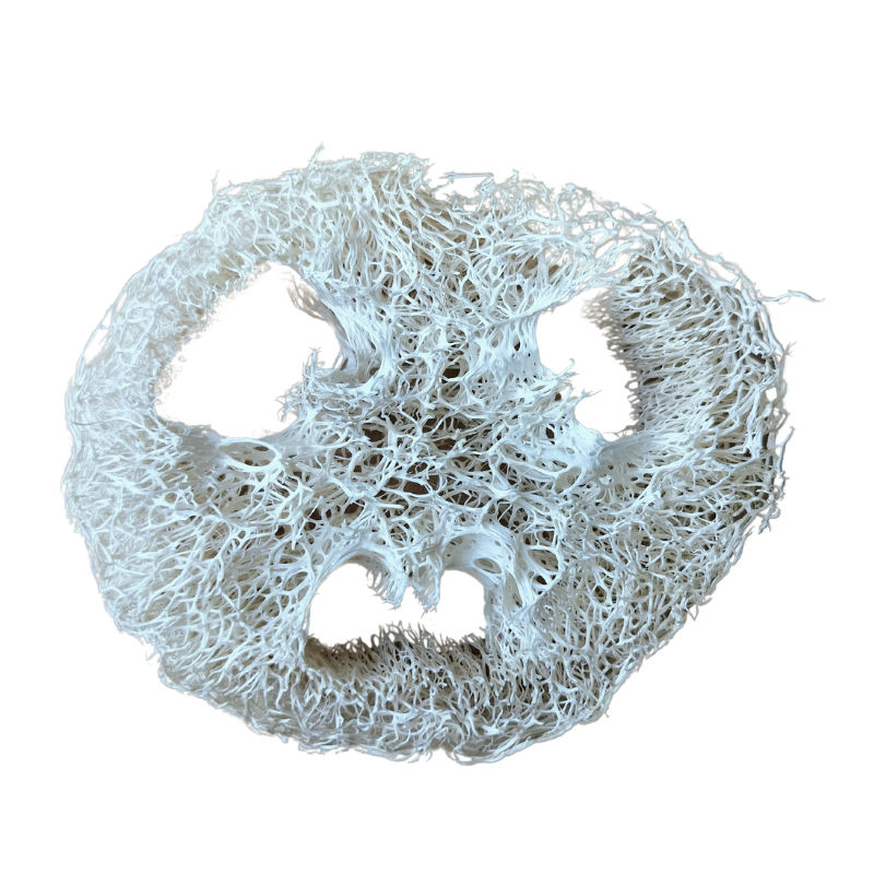 Loofah svamp, flere størrelser