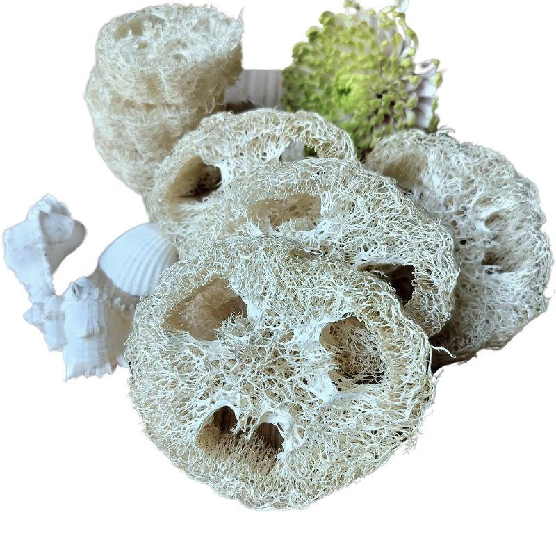 Loofah svamp, flere størrelser