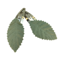 Hårspænder – Grønne blomster & blade 🌿 – Sæt af to
