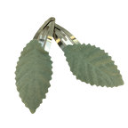 Hårspænder – Grønne blomster & blade 🌿 – Sæt af to