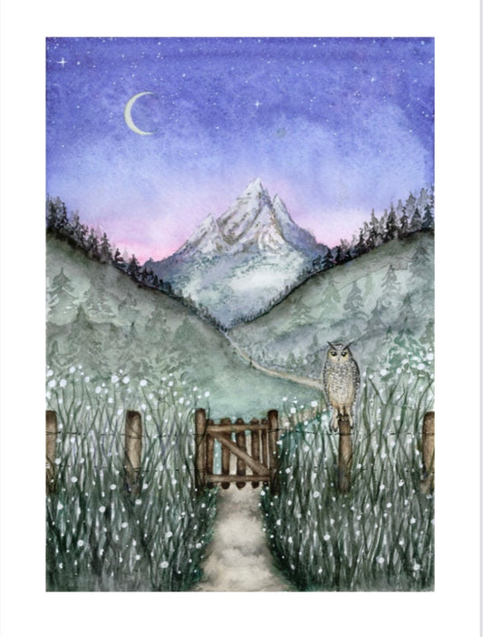 Mountain path