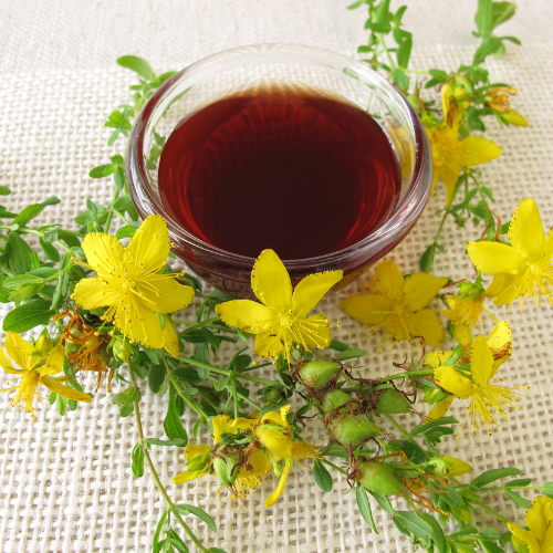 Økologisk perikon te – ro, balance og velvære i en kop