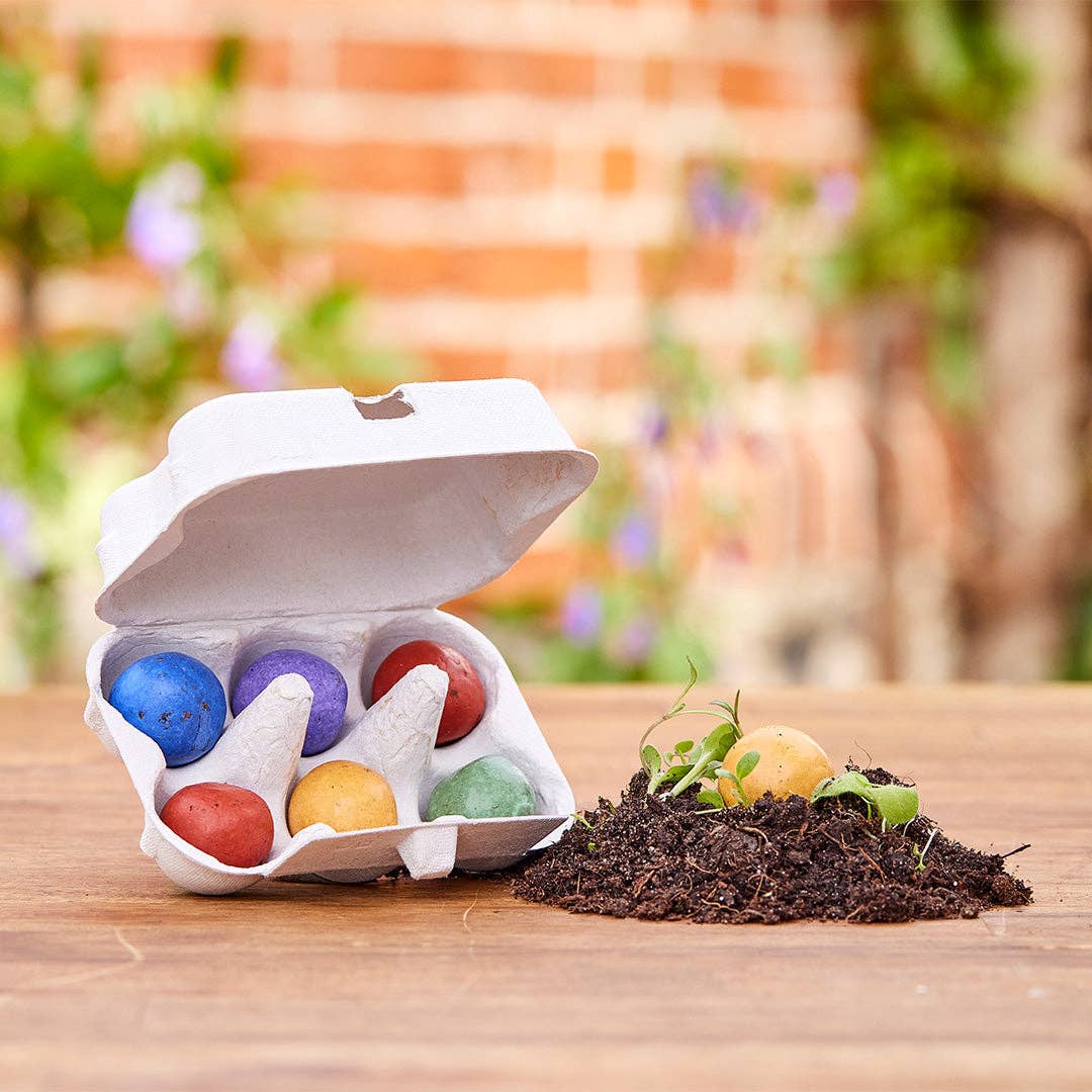 Påske Blomsteræg – Frøbomber i æggebakke